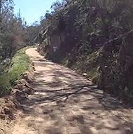 Bridle Track Bridle Track